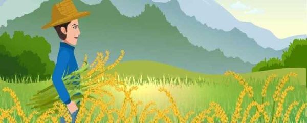 小满时节祝福语录 小满时节有什么民俗