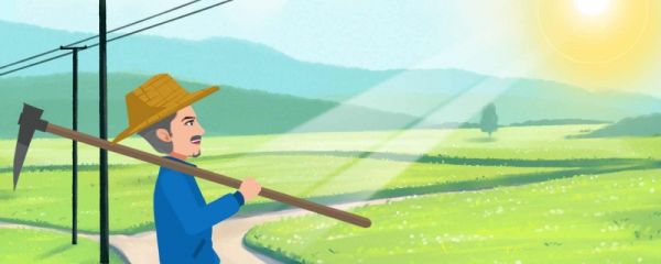 2023年夏至几点几分 夏至节气的含义是什么