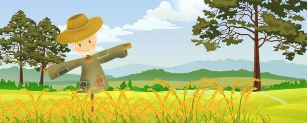 中伏时间为什么有长有短 三伏天的天气有什么变化