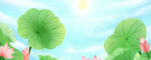 夏至在2023的几月几日 夏至后的天气特点