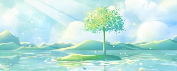 夏至节气是什么意思 夏至的气候变化