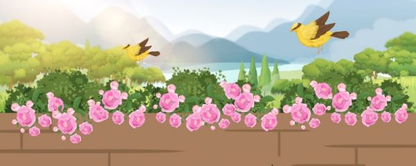 立春节气的特点和风俗 立春节气的由来
