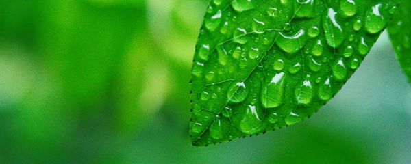 回南天原理 回南天的原理