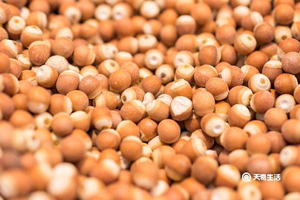 芡实米的功效与作用 芡实米的功效与作用是什么