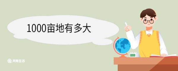 1000亩地有多大 亩的单位换算