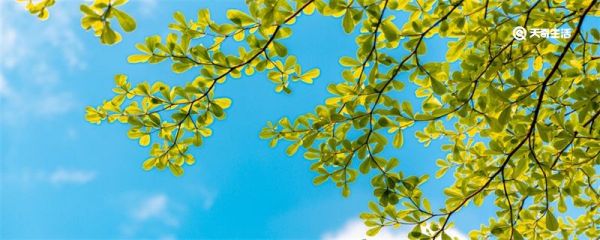 夏至的含义 夏至的含义是什么