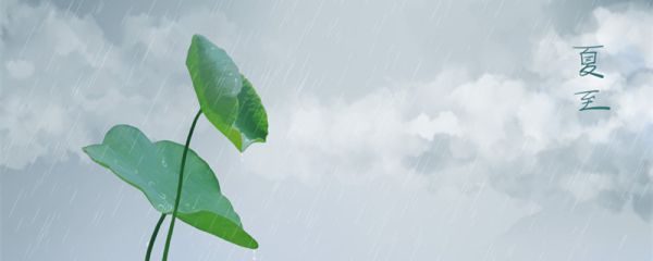 夏至下雨有什么说法 夏至的说法