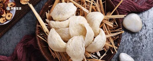 燕窝是什么东西 燕窝采收季节一般在什么时候