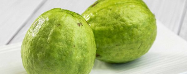 番石榴里面的籽能吃吗 番石榴的食用方法