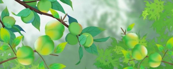 芒种节气有哪些美食 芒种节气有什么讲究