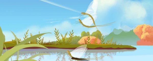 芒种的寓意和象征 芒种的气候特点
