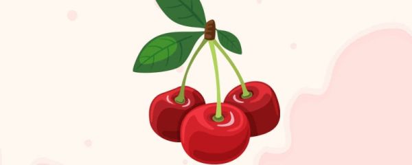 车厘子j级是什么意思