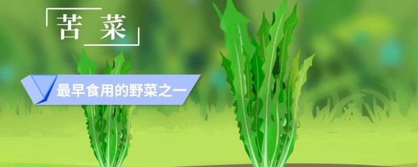 什么是小满节气 小满时节一般吃什么