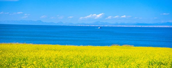 青海是哪个省 青海名称由来