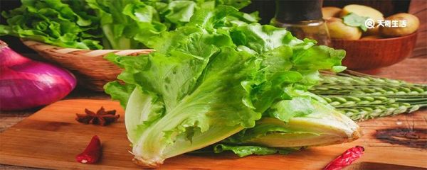 生菜为什么会苦 生菜可以直接吃吗
