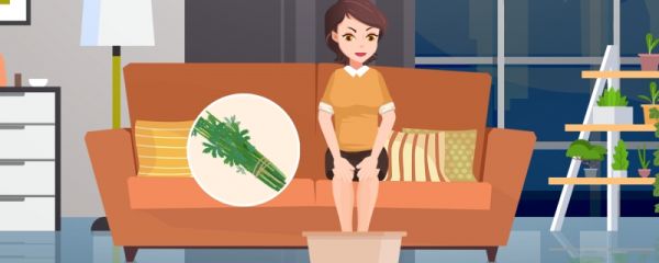 芒种的代表性植物 芒种需要注意什么