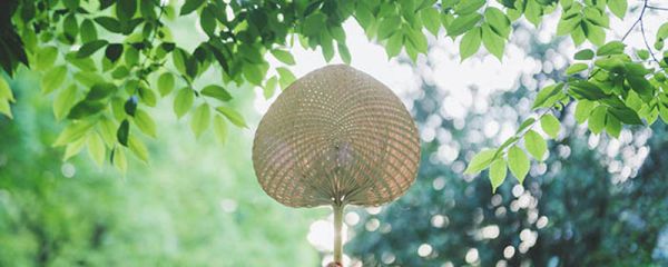 夏天早上几点天亮 夏季的时间划分