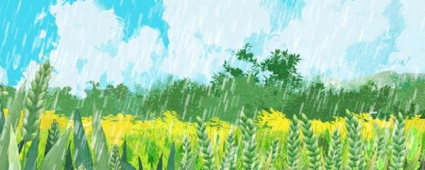 芒种时节有什么景象 芒种时节会不会下雨