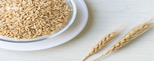 馓子是哪里的特产 馓子简介