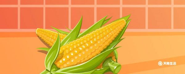 煮玉米用开水还是冷水 煮玉米用开水还是冷水合适