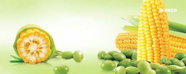 糯玉米煮多久能熟 糯玉米热量