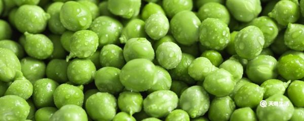 青豆要煮多久才熟 青豆是什么