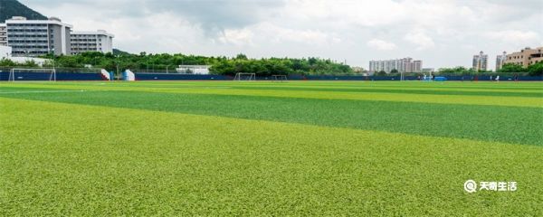 纽卡斯尔大学在哪个城市 纽卡斯尔大学在哪里