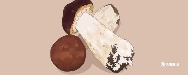 包头有什么特产 包头有什么特产可带走