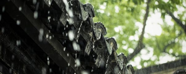 梅雨季节注意事项有哪些 梅雨季节注意事项是什么