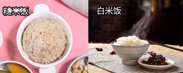 白米饭跟糙米饭的区别 白米饭跟糙米饭区别