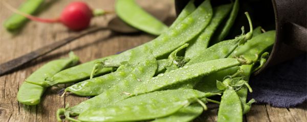 荷兰豆是哪个国家的 荷兰豆来自哪个国家