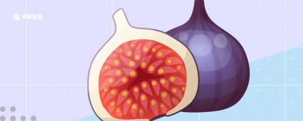 无花果用剥皮吃么 新鲜无花果用剥皮吃么