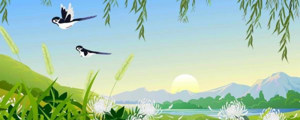 二十四节气小暑吃什么 小暑是第几个节气