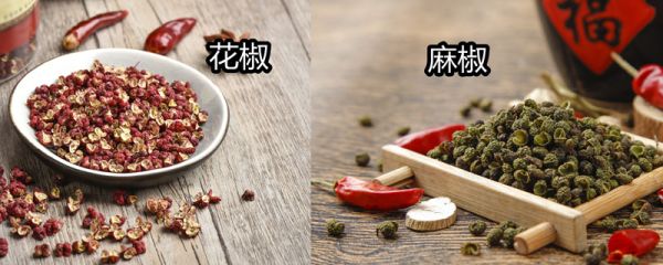 花椒和麻椒一样吗 花椒的果实长在哪里的