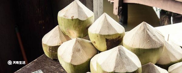 椰子是什么 椰子指什么