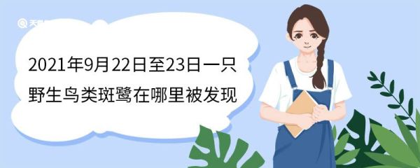 2021年9月22日至23日一只野生鸟类斑鹭在哪里被发现 斑鹭是保护动物吗