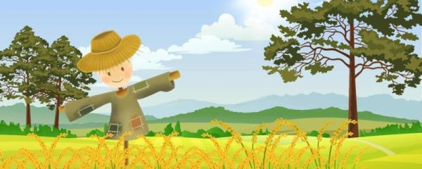 今年夏至是哪一天 夏至一般吃什么