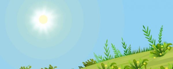 2023夏至是几月几日 夏至会下雨吗