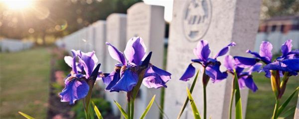 意外死亡有哪些 意外死亡有哪些情况