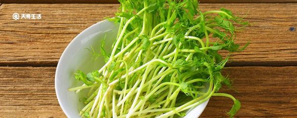 绿豆芽煮几分钟熟