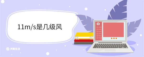 11m/s是几级风 6级风能把人吹走吗