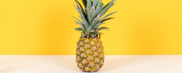 菠萝皮泡水可以浇花吗 菠萝皮可以作为肥料吗