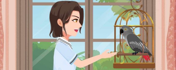 妇女节不放假违法吗  有什么依据