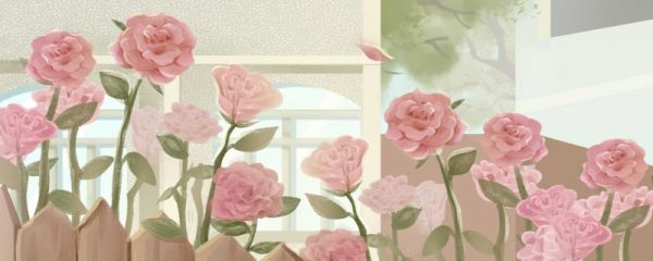 母亲节送什么花送几朵 母亲节送花的文案