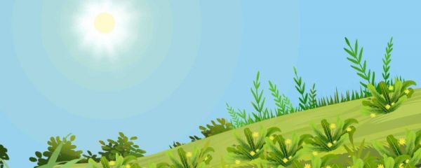 夏至是什么节气 今年夏至是几月几日