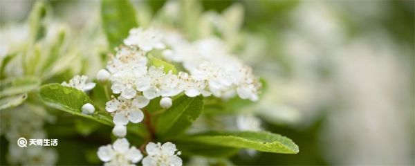 形容4月份的美好句子 形容4月份的句子