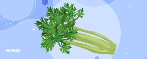 芹菜焯水用冷水还是热水 芹菜焯水用冷水还是热水合适