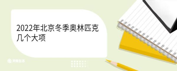 2022年北京冬季奥林匹克几个大项 2022年冬奥会的吉祥物叫什么