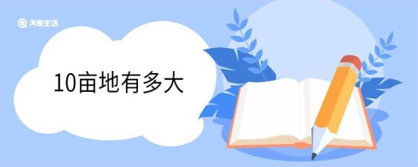 10亩地有多大 亩是什么单位