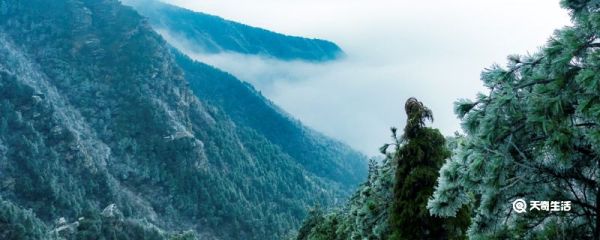 庐山在哪个省的城市 庐山在哪个省